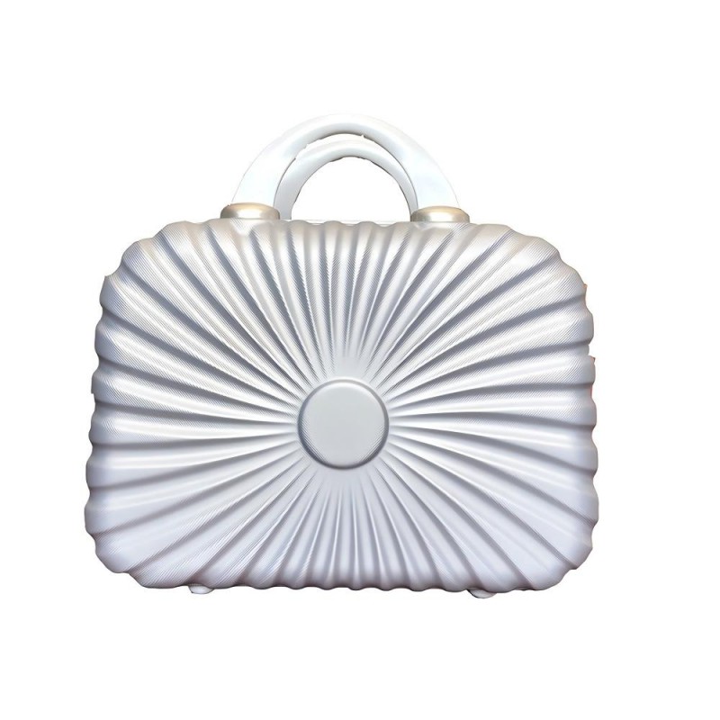 Vanity Case